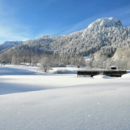 Chalet Des Cascades Le Mont-Dore Eksteriør billede
