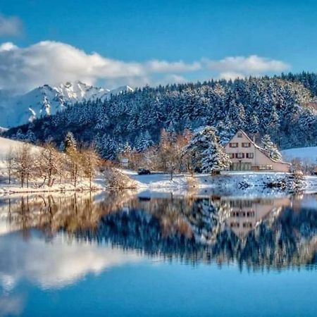 Chalet Des Cascades Le Mont-Dore Eksteriør billede