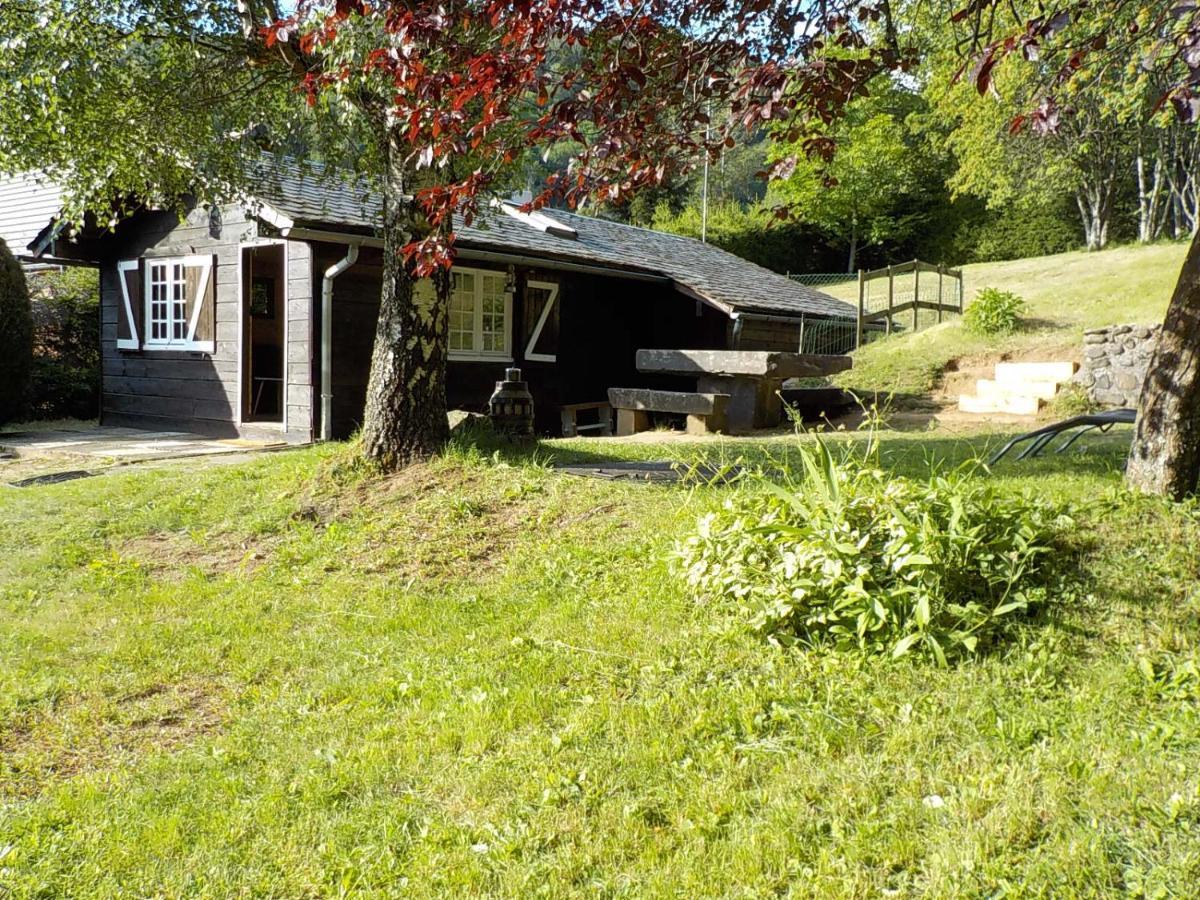 Chalet Des Cascades Le Mont-Dore Eksteriør billede