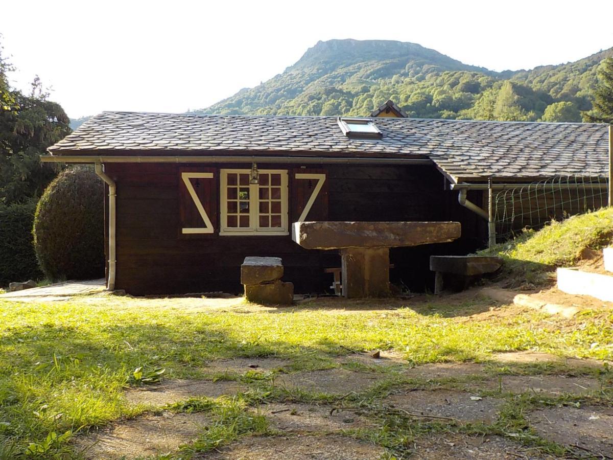 Chalet Des Cascades Le Mont-Dore Eksteriør billede