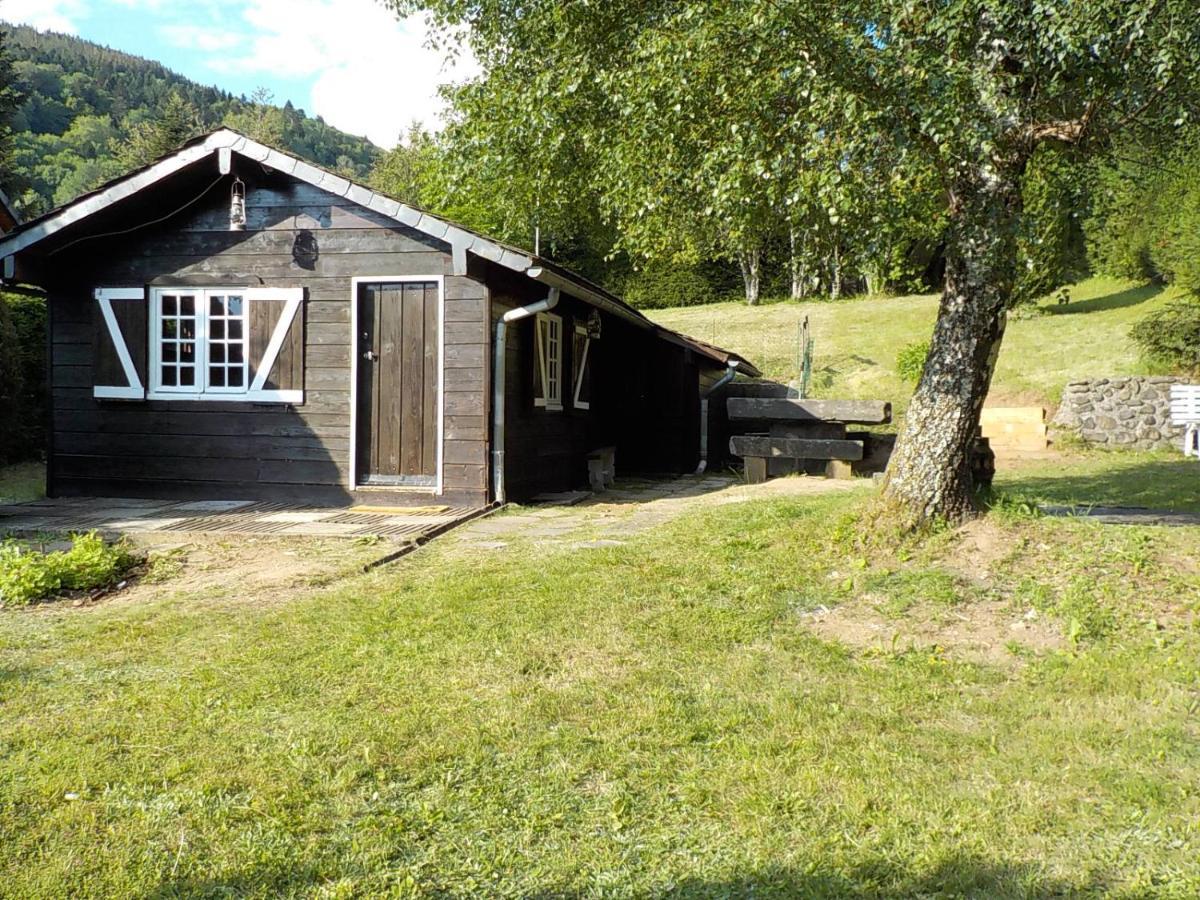 Chalet Des Cascades Le Mont-Dore Eksteriør billede