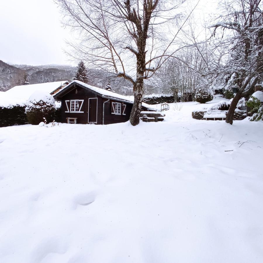 Chalet Des Cascades Le Mont-Dore Eksteriør billede