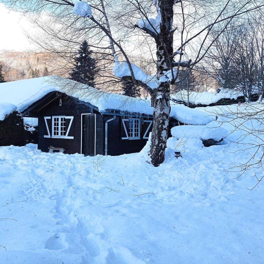 Chalet Des Cascades Le Mont-Dore Eksteriør billede