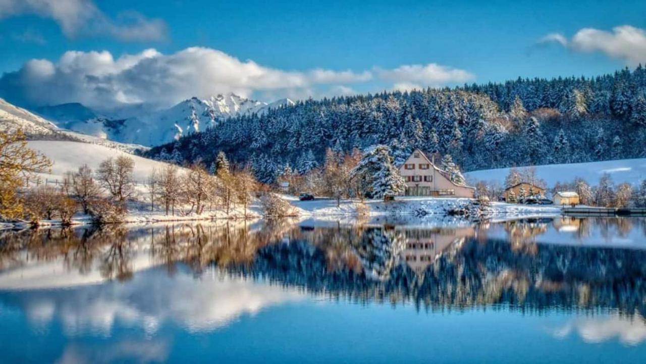 Chalet Des Cascades Le Mont-Dore Eksteriør billede