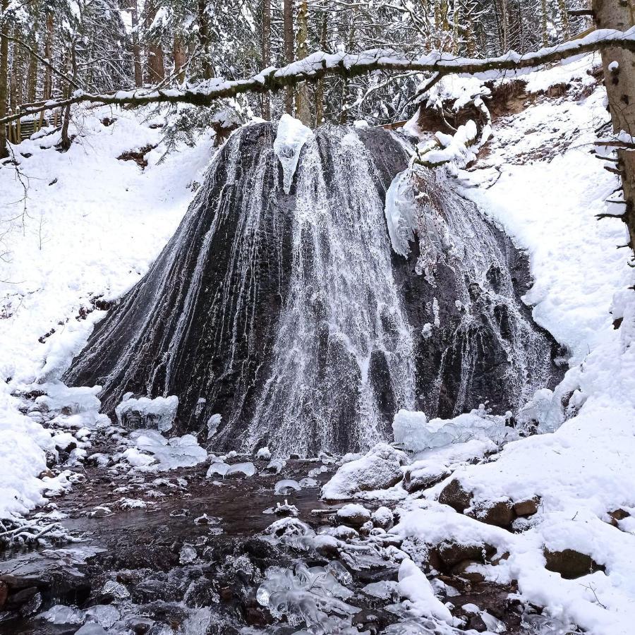 Chalet Des Cascades Le Mont-Dore Eksteriør billede